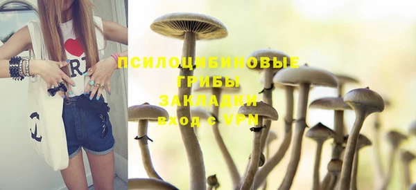 тгк Горно-Алтайск