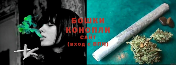 тгк Горно-Алтайск