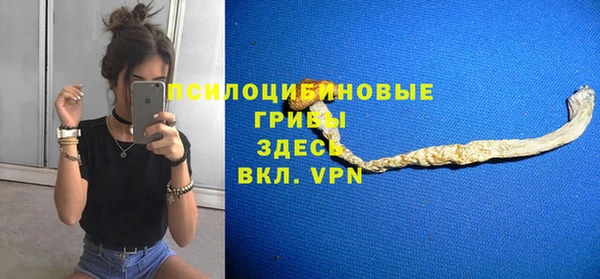 синтетический гашиш Горнозаводск