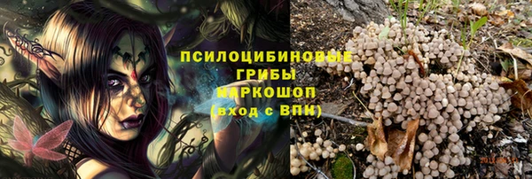 тгк Горно-Алтайск