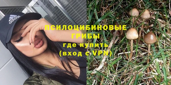 синтетический гашиш Горнозаводск