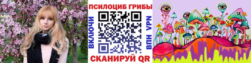 Галлюциногенные грибы мицелий  Евпатория 